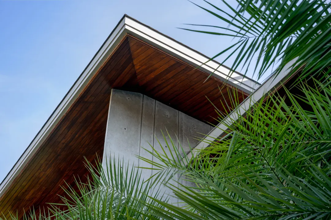 A timber eave over a concrete wall, palms against the sky.