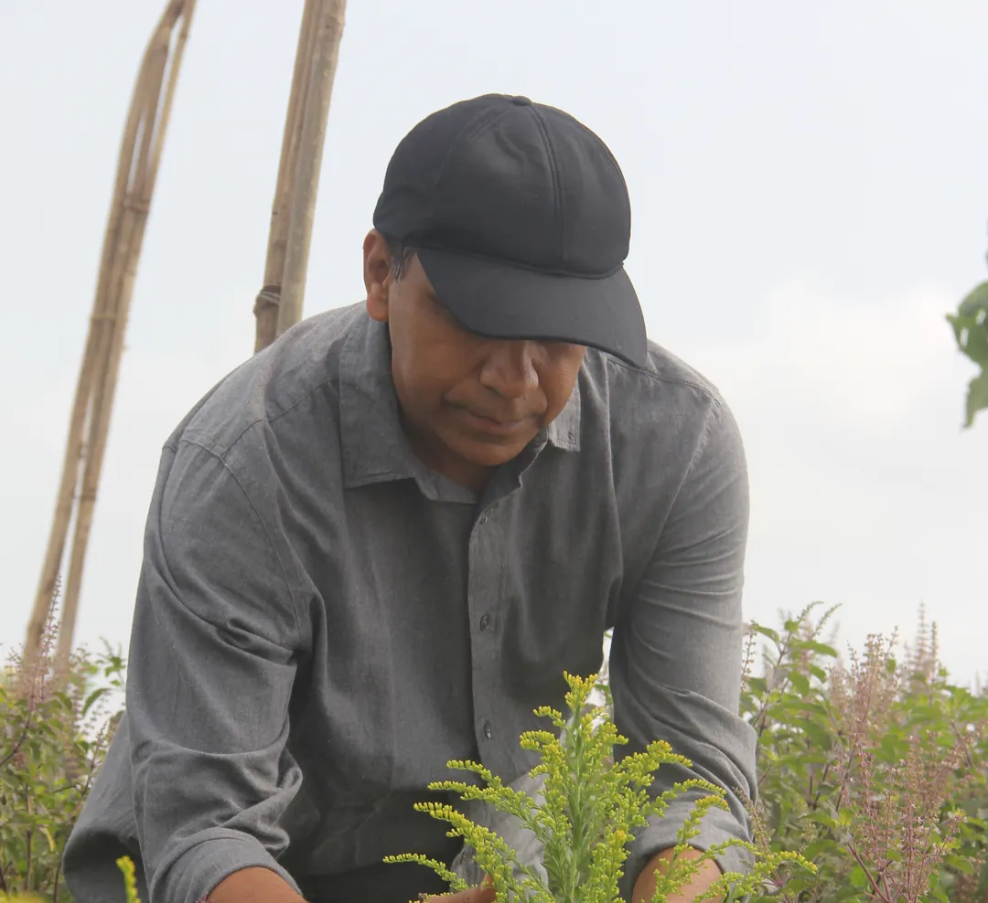 Hiren Patel among flowering plants, his hands in the green.