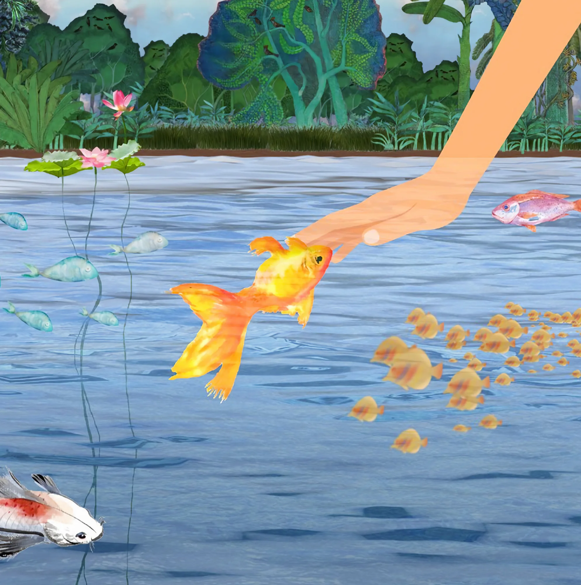 A hand reaches into blue water to feed a goldfish, koi and a shoal of small fish, lotus at the far bank