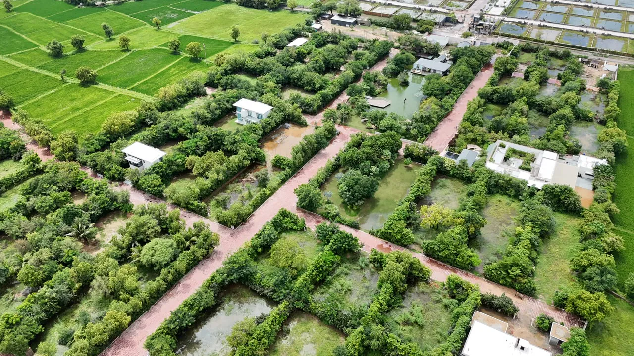 Brick-red paths running between walls of trees, with plots, ponds and a few white roofs seen from the air.